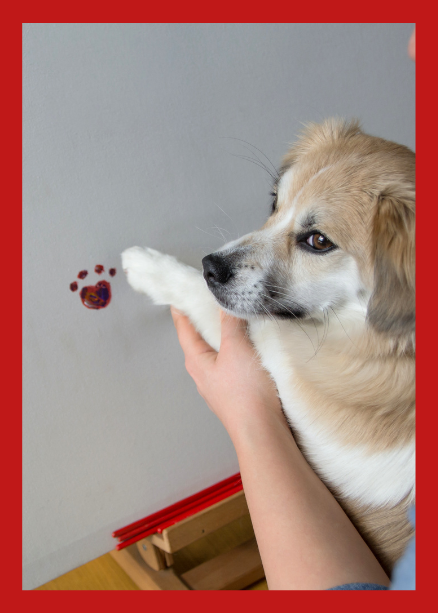 dog painting with paw image