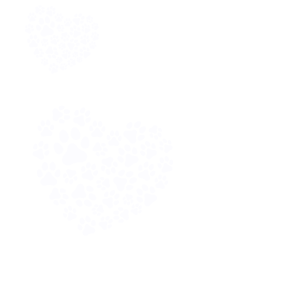 Dog Services doggie daycare, staycations, dog daycare, boarding, pet