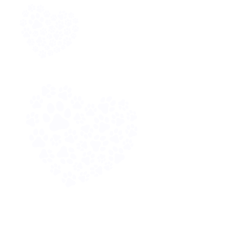 Dog Services doggie daycare, staycations, dog daycare, boarding, pet