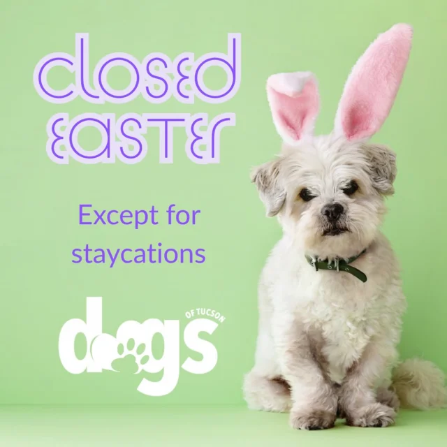 We are closed for Easter except for our registered staycation guests.