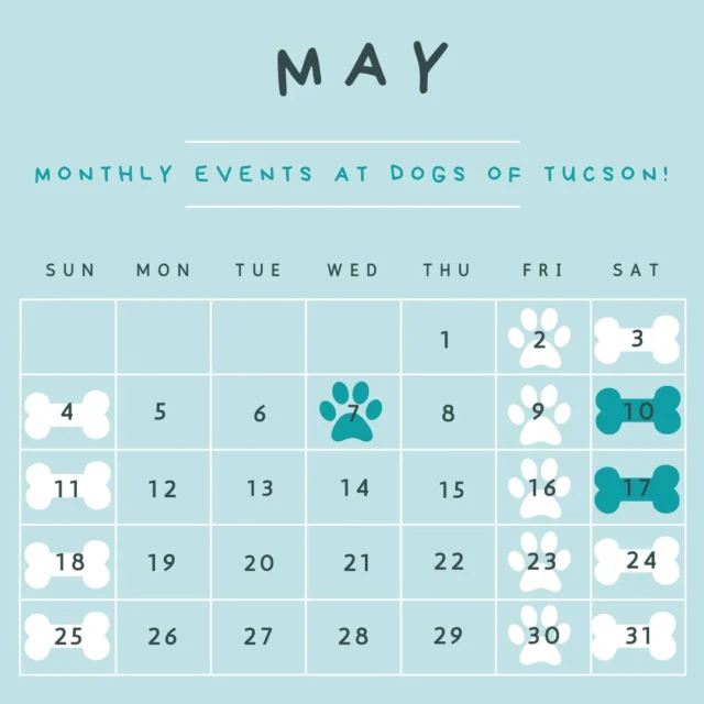 The heat is back, but we're keeping things cool! Bring your pup in to join us for:⠀
⠀
Special Events:⠀
🐾 Pack Hike – 5/4 at 6am⠀
🐾 National Lemonade Day Open House – 5/4 from 12-4pm⠀
Come in for some lemonade and learn about what makes us different. ⠀
🐾 National Dog Moms Day – 5/7 from TIME⠀
Join us for brunch and a fun art project for dog moms.⠀
🐾 May Member Birthday Celebration – 5/10 from TIME⠀
⠀
Monthly Events:⠀
🐾 Daycare Dog Meet Up – 5/17 from TIME?⠀
🐾 Pack Walk – every Friday at 5:30am⠀
🐾 Puppy Play – every Saturday at 10am⠀
🐾 Shy Play – every Sunday at 2pm⠀
 ⠀
#DogsofTucson #DogLovers #TucsonBusiness #PetParent #DogPark #TucsonEvents #TucsonDogs