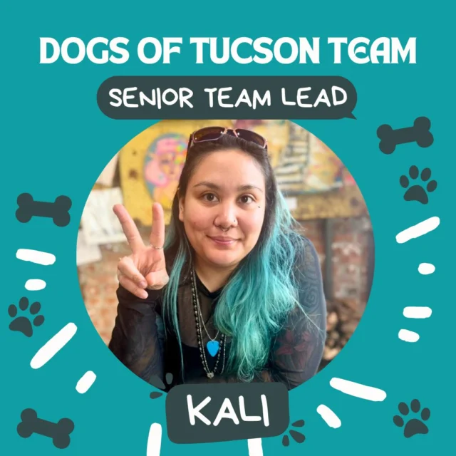 Today we'd like to introduce our senior team lead, Kali! 🐾 She's been using her experience to mentor our newest team members, teaching them about dog behavior and body language. Watching her work with our pack is a lesson on patience– she's a master in the art of earning their trust.

Kali is involved in all social evals and also works with the dogs in our readiness and comfort care programs. When new, nervous dogs join the pack, you can see her skills at work! They'll show their trust and respect for her by following her around until they feel safe enough to play. Because of her unique skills, she can also handle tricky situations like a pro! We're so happy to have her on the team.

#DogsofTucson #DogLovers #TucsonBusiness #TucsonDogs #DogLovers #MeetOurTeam