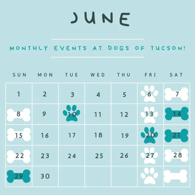 ⠀
We're keeping things cool this summer with pawsome events all month long! Join us for:⠀
⠀
Special Events:⠀
🐾 National Iced Tea Day Open House – 6/10 from 12-4pm⠀
🐾 June Member Birthday Celebration – 6/14⠀
🐾 Dog Days of Summer Celebration – 6/20⠀
🐾 DogTiki Lounge at Dogs of Tucson – 6/29 from 4-6pm⠀
⠀
Monthly Events:⠀
🐾 Daycare Dog Meet Up – 6/21 ⠀
🐾 Pack Walk – every Friday at 6:30am⠀
🐾 Puppy Play – every Saturday at 10am⠀
🐾 Shy Play – every Sunday at 2pm ⠀
⠀
#DogsofTucson #DogLovers #TucsonBusiness #PetParent #DogPark #TucsonEvents #TucsonDogs ⠀