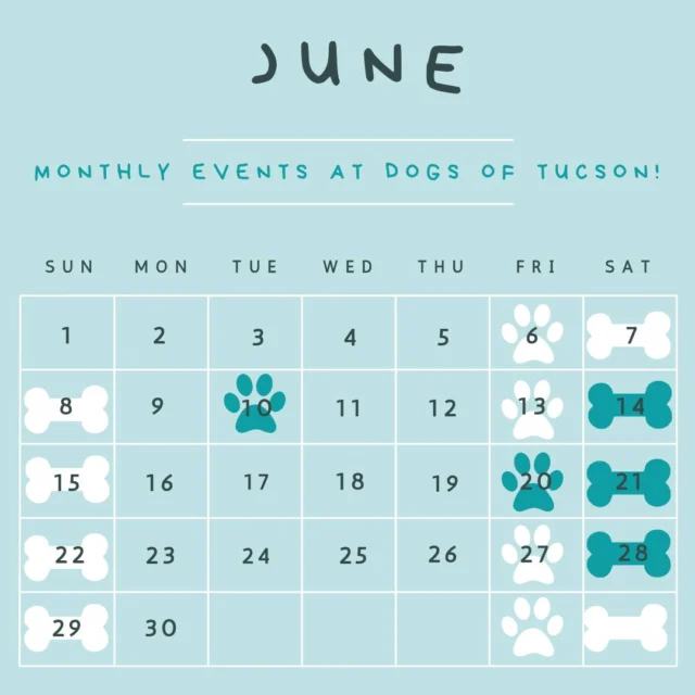 We're keeping things cool this summer with pawsome events all month long! Join us for:

Special Events:
🐾 National Iced Tea Day Open House – 6/10 from 12-4pm
🐾 June Member Birthday Celebration – 6/14
🐾 Dog Days of Summer Celebration – 6/20
🐾 DogTiki Lounge at Dogs of Tucson – 6/28 from 4-6pm

Monthly Events:
🐾 Daycare Dog Meet Up – 6/21 
🐾 Pack Walk – every Friday at 6:30am
🐾 Puppy Play – every Saturday at 10am
🐾 Shy Play – every Sunday at 2pm 

#DogsofTucson #DogLovers #TucsonBusiness #PetParent #DogPark #TucsonEvents #TucsonDogs