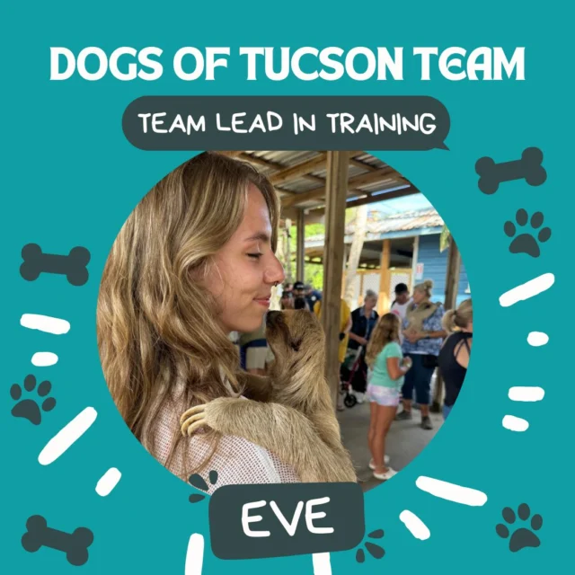We're happy to announce that we're training a new team lead! 🐾

Eve may be newer to our team, but she fit right in immediately. She's pawsitively a pro already! She picked everything up quickly and made the onboarding process look easy. Eve makes it feel like that's always been here with her quick learning, great attitude, and enthusiasm. She is studying to work in special education and we're happy to cheer her on!

#DogsofTucson #DogLovers #TucsonBusiness #TucsonDogs #DogLovers #MeetOurTeam