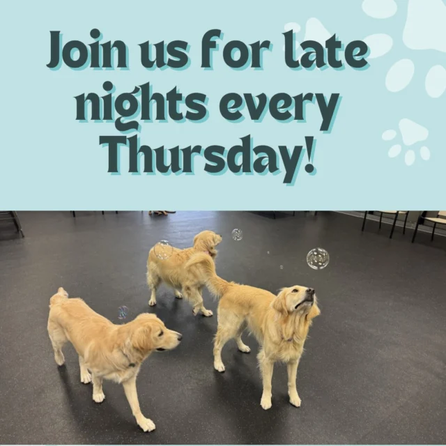 Did you know we offer late nights? 🐾

We're open late every Thursday! Join us for late night at the Bark Park for extended socializing and playtime with your best furriend. It's always pawsome! 

#DogsofTucson #DogLovers #TucsonBusiness #TucsonDogs #DogPark #Dogs