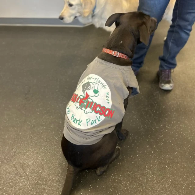 Our newest rufferee 😂🐾🩷